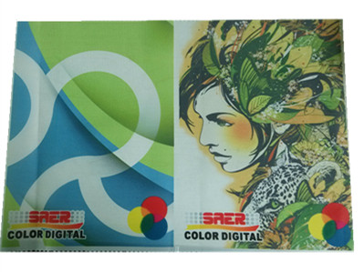 Epson DX5 の印字ヘッドが付いている染料の Mimaki の織物プリンターの広告 1