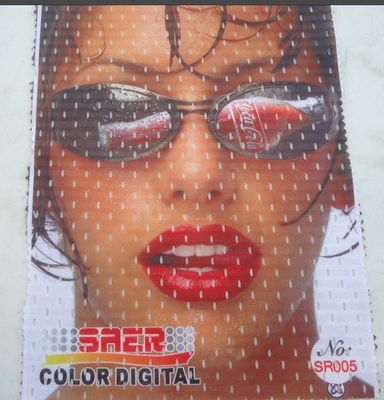 大判カメラの印字機のシンガポールの旗プリンター機械 Saer CSR 3200