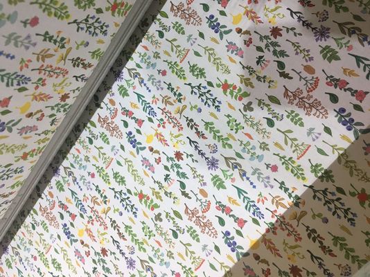 110V / 220V自動生地の印刷システム/インクジェット生地の印字機