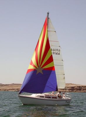 直接印を付けさせます羽を100%のポリエステル デジタル印刷の生地